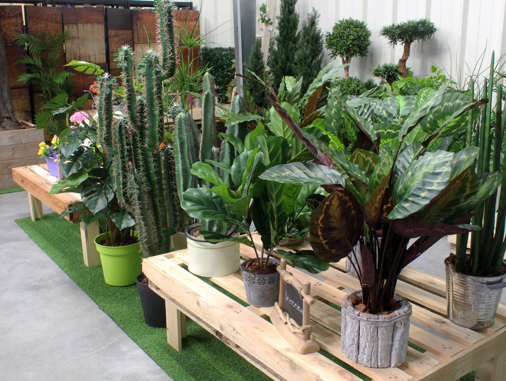 Showroom plantes artificielles